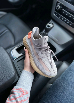 👟 adidas yeezy boost 350 true form2 фото