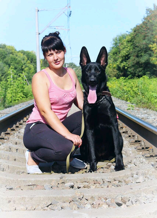 Цуценята німецької вівчарки