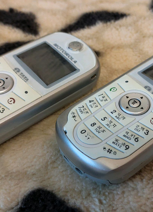 Мобильный телефон motorola w2001 фото