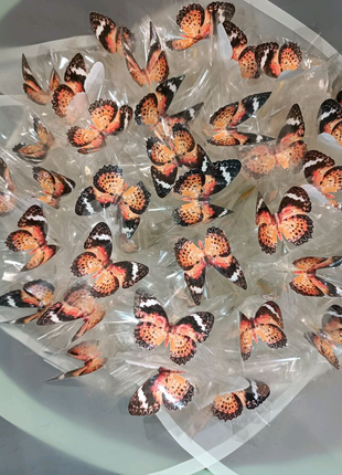 Букет метеликів на подарунок, 8 березня1 фото