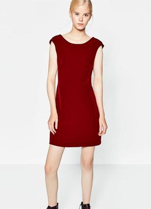 Бордове плаття zara trafaluc