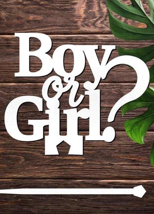 Дерев'яний топпер "конкурс boy or girl?" напис 11х10см білий топер для торта, у букет квіти фігурка з лдвп