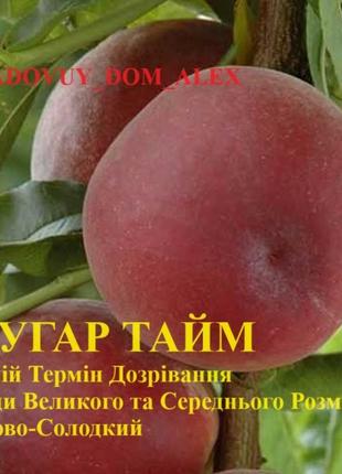 Саджанці персика абрикос черешня слива хурма нектарин вишня ківі