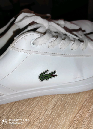 Кеди lacoste lerond3 фото