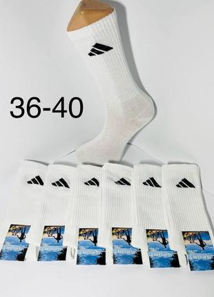 Шкарпетки демісезонні 12 пар спортивні високі тенісна гумка з бавовни adidas розмір 36-40 білі1 фото