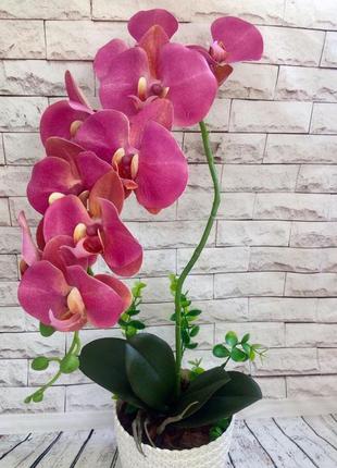 Латексні орхідеі преміум класу на 1 гілочку і міні