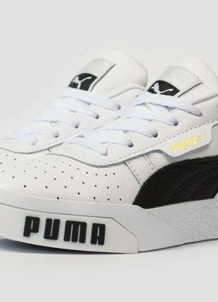 Puma cali1 фото