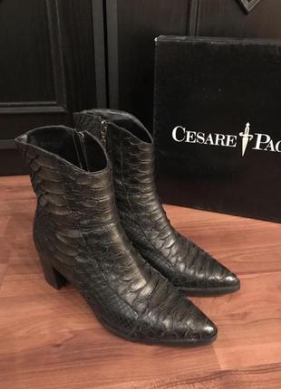 Черевики. кожа. крокодил cesare paciotti  р.37(23.5)2 фото