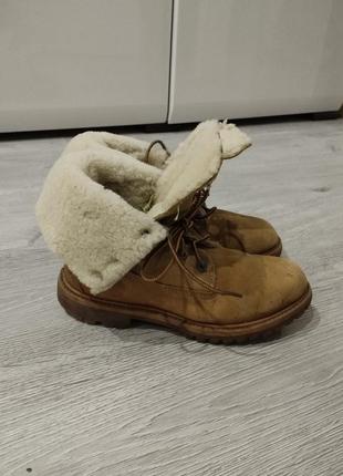 Зимние ботинки timberland