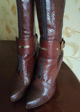 Сапоги еscada питон последняя цена!!!