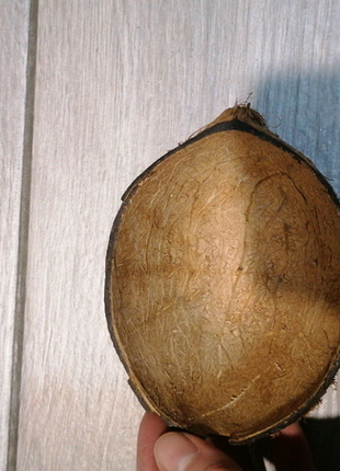Шкаралупа кокоса