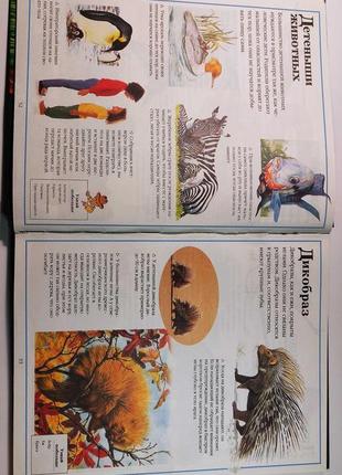 Книга все про тварин. енциклопедія для дітей5 фото