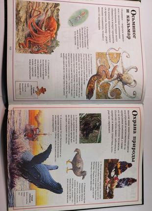 Книга все про тварин. енциклопедія для дітей7 фото