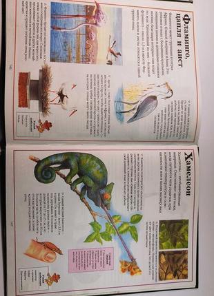 Книга все про тварин. енциклопедія для дітей8 фото