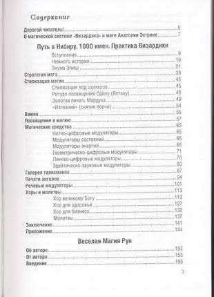 Эстрин анатолий. путь в нибиру. 1000 имен. практика визардики2 фото