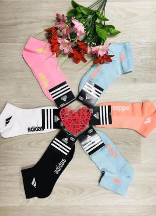 Шкарпетки спортивні 12 пар літні сітка бавовна короткі adidas туреччина розмір 36-41 кольоровий мікс