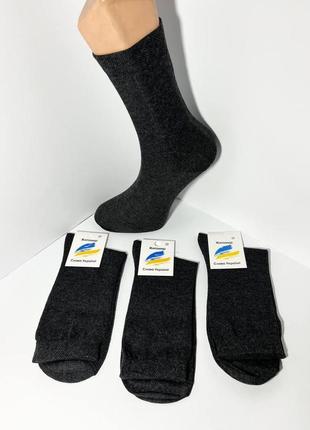 Шкарпетки чоловічі 12 пар демісезонні бавовна житомир розмір 27 (41-44) темно-сірі