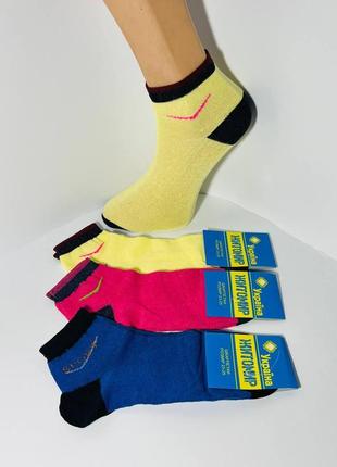 Шкарпетки демісезонні 12 пар бавовна середні житомир розмір 36-40 кольоровий мікс