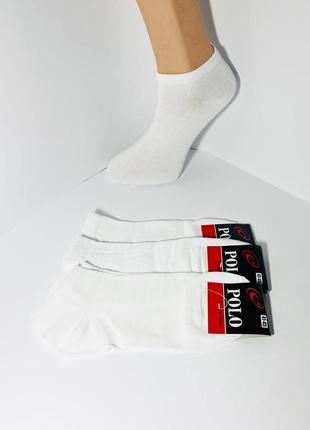 Демісезонні шкарпетки 12 пар бавовна укорочені polo туреччина розмір 41-45 білі