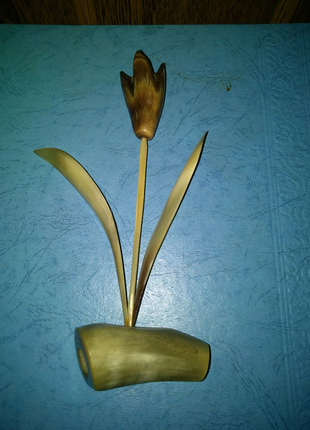 Тюльпан з рогу.2 фото