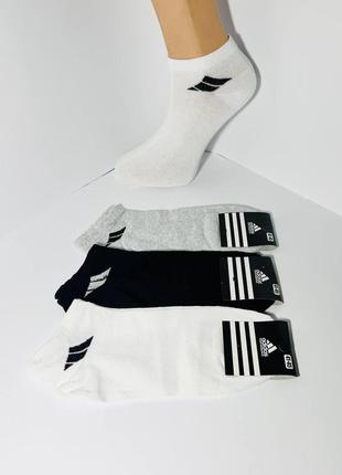 Шкарпетки чоловічі 12 пар демісезонні бавовна укорочені adidas туреччина розмір 41-45 асорті