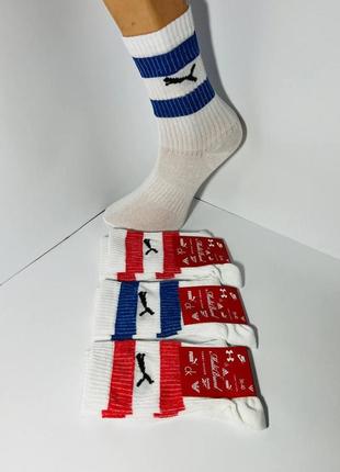 Шкарпетки спортивні 12 пардемісезонні високі з бавовни puma розмір 36-40