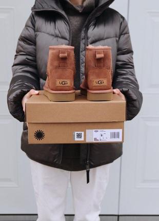 Угі ugg mini mole уггі3 фото