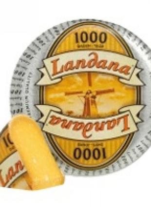 Сир landana "1000 днів" голландія (ріжемо від 300 грам)