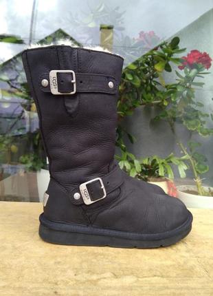 Сапоги уги ugg s/n 5678  australia 36р1 фото