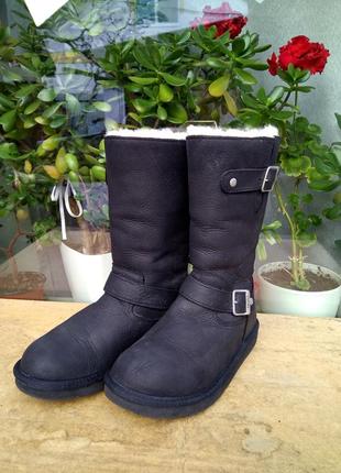 Сапоги уги ugg s/n 5678  australia 36р6 фото