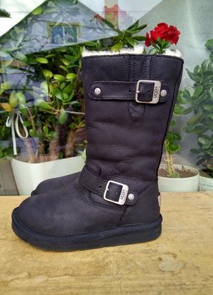 Сапоги уги ugg s/n 5678  australia 36р7 фото