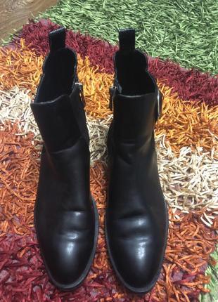 Демисезонные  челси