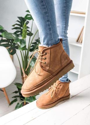 Ботинки ugg neumel женские бежевые6 фото