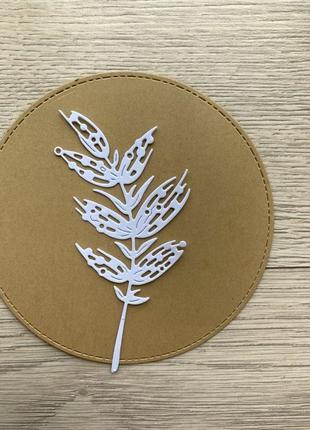 Вирубка 'гілочка лісова'