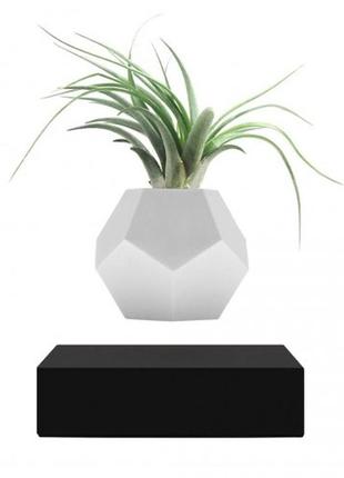 Левітуючий вазон "flyte planter", чорний