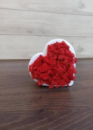 Кашпо-серце з червоним мохом3 фото