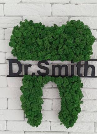 Декор в стоматологию. декоративный зуб со стабилизированным мхом.