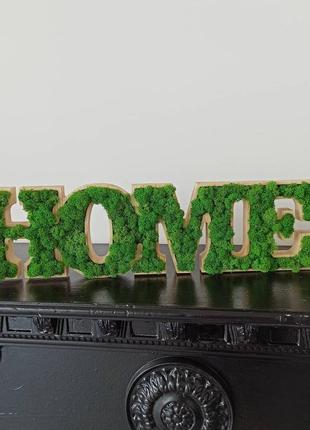 Деревянные буквы home со стабилизированным мхом