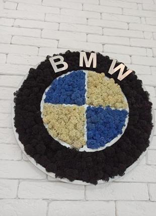 Логотип марки авто bmw из мха, значок bmw из мха5 фото