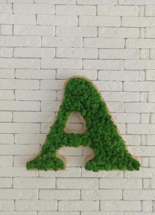 Літера, літери з мохом для декору, логотип з моху, назва з моху5 фото