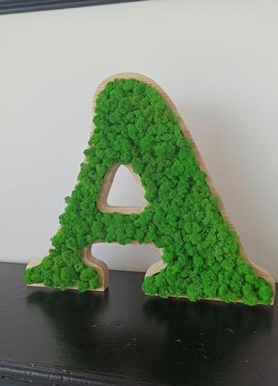 Літера, літери з мохом для декору, логотип з моху, назва з моху7 фото
