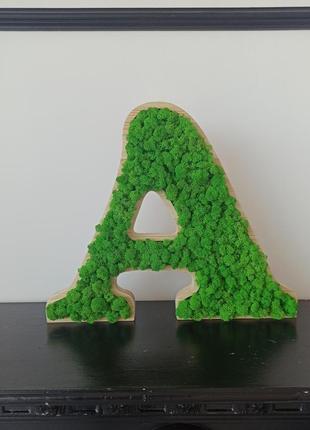 Літера, літери з мохом для декору, логотип з моху, назва з моху6 фото