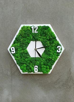 Годинник у формі соти зі стабілізованим зеленим мохом4 фото