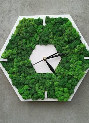 Годинник у формі соти зі стабілізованим мохом2 фото