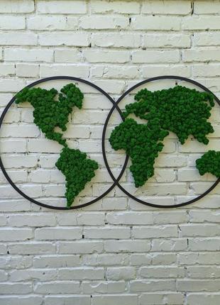 Карта світу з мохом - декор на стіну5 фото
