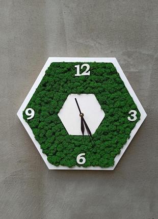 Годинник з мохом у формі соти3 фото