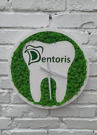 Часы настенный с зубом с мхом в стоматологию. декор из в стоматологию3 фото