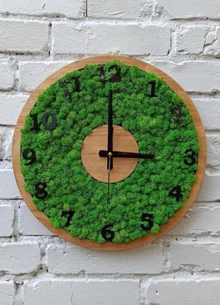 Годинник настінний зі стабілізованим зеленим мохом.2 фото