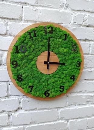 Годинник настінний зі стабілізованим зеленим мохом.3 фото