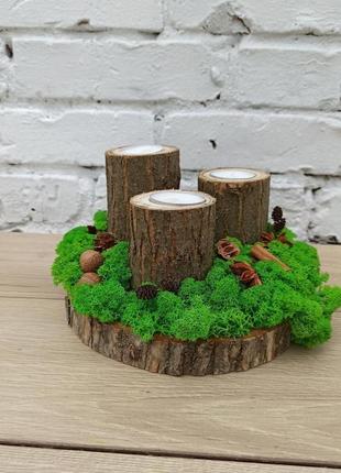 Композиція з моху та свічками на стіл, декор з моху3 фото